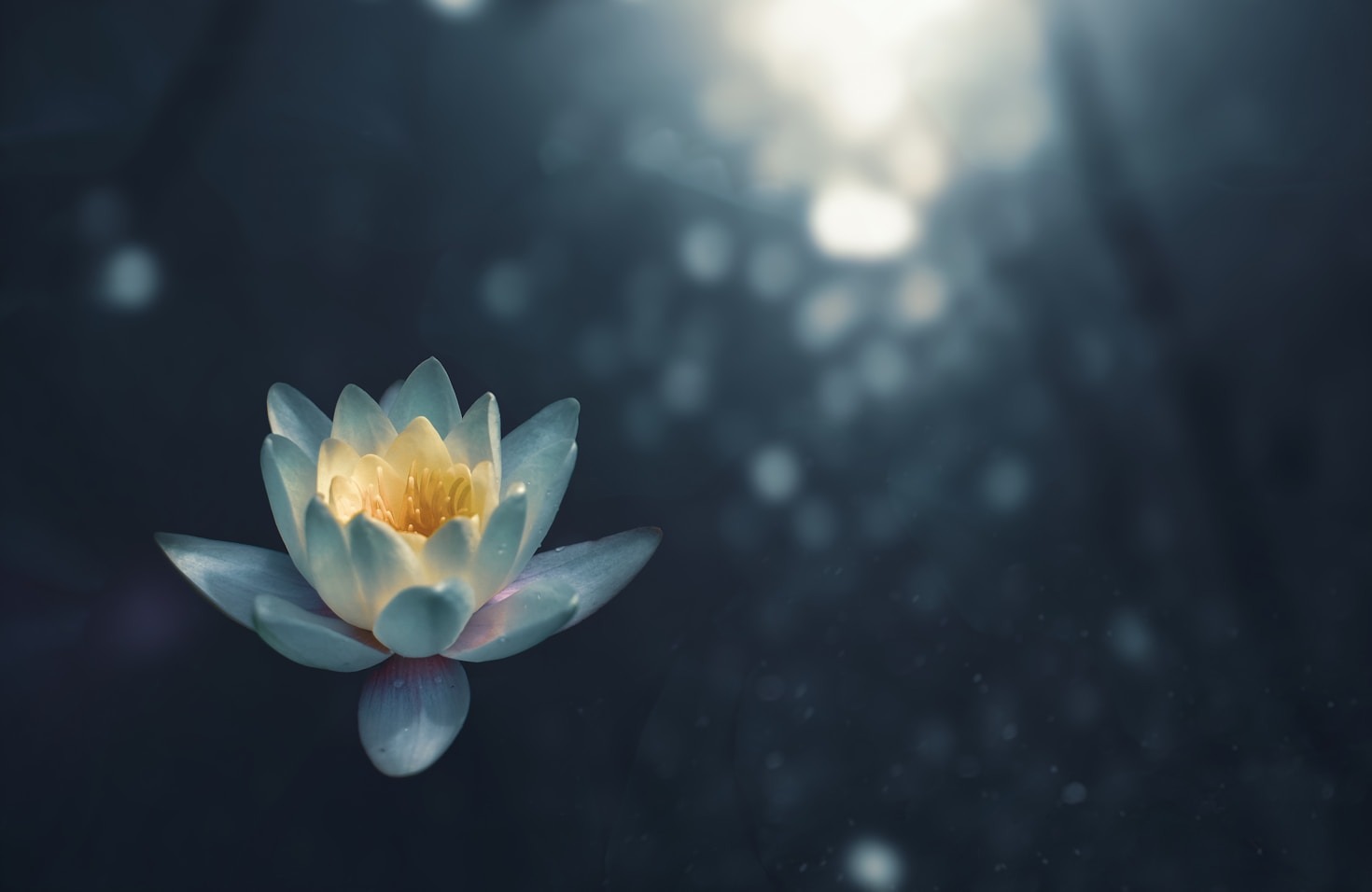 Mindfulness Practices for Everyday Peace